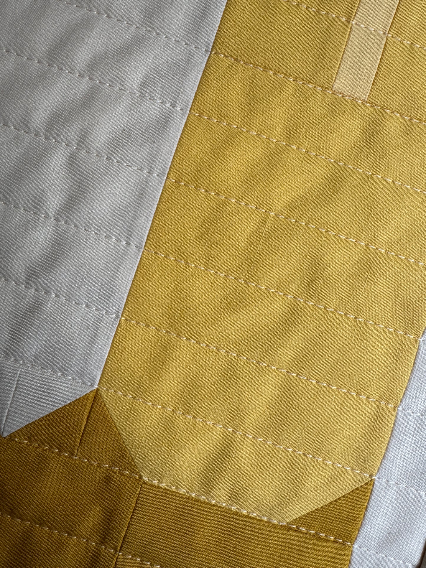 Scoot Medium Work | Curry